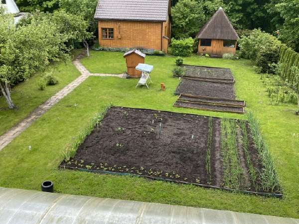 Visaginas, Tumelinos k., Nendrių g., prieš 30 min.