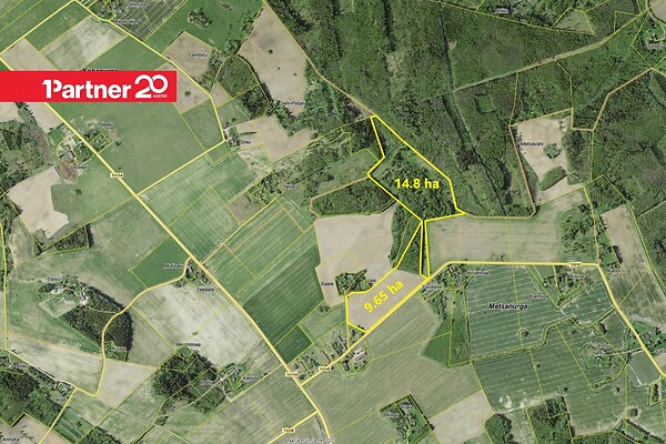 plot for sale, forested land, land-profit land - Metsanurga, Peipsiääre vald, Tartumaa