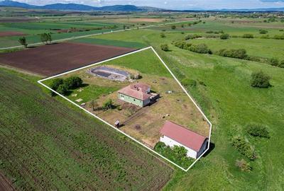 Exterior Est, Sfântu Gheorghe