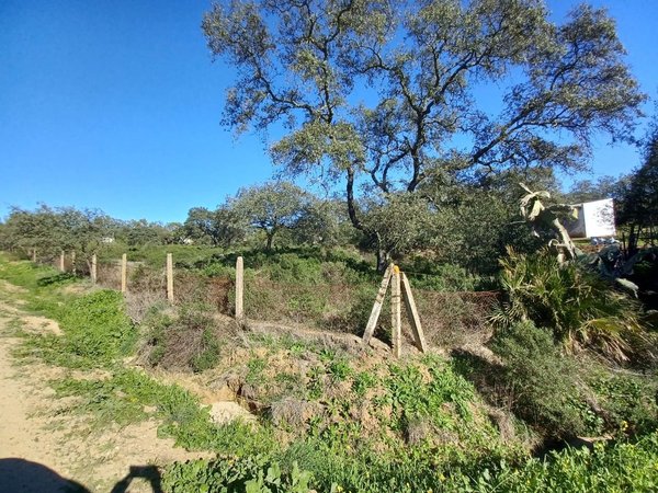 Castilblanco de los Arroyos,  ES