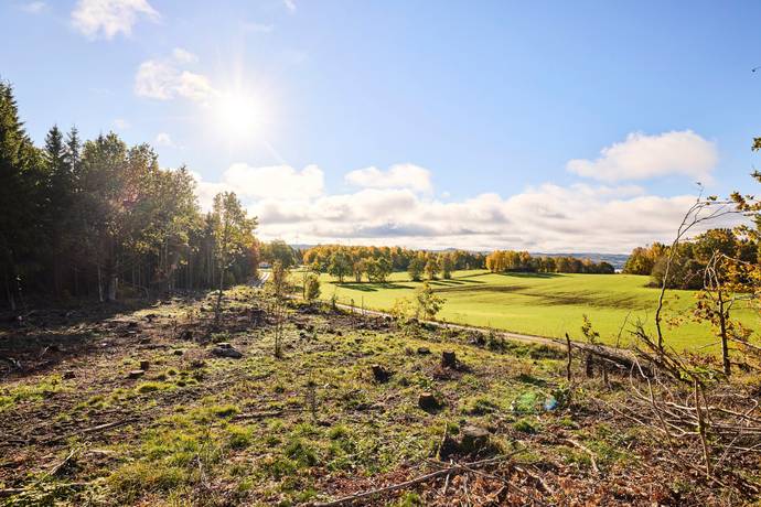 Skärstad, Jönköpings kommun