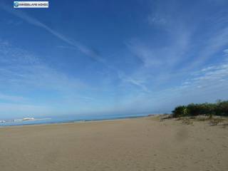 Termoli,  IT