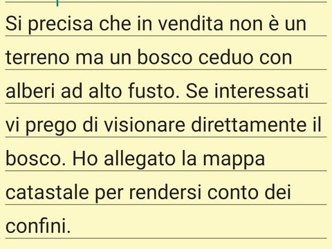 Verona,  IT