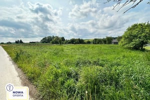 Maków