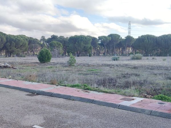 Viana de Cega,  ES