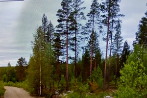 Ukkometsontie 1, Äijänkangas , Ranua