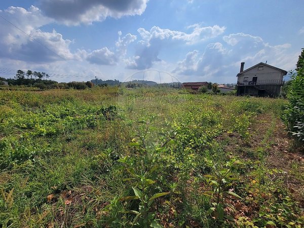 Campo de Besteiros,  PT