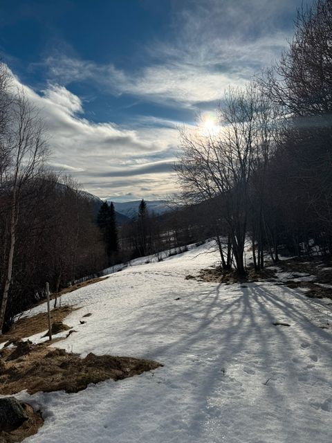 Båggåstrondvegen 740, Oppdal