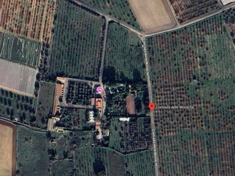 Turi,  IT