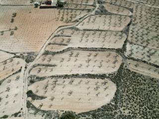 Jumilla,  ES