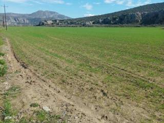 Aliartos,  GR