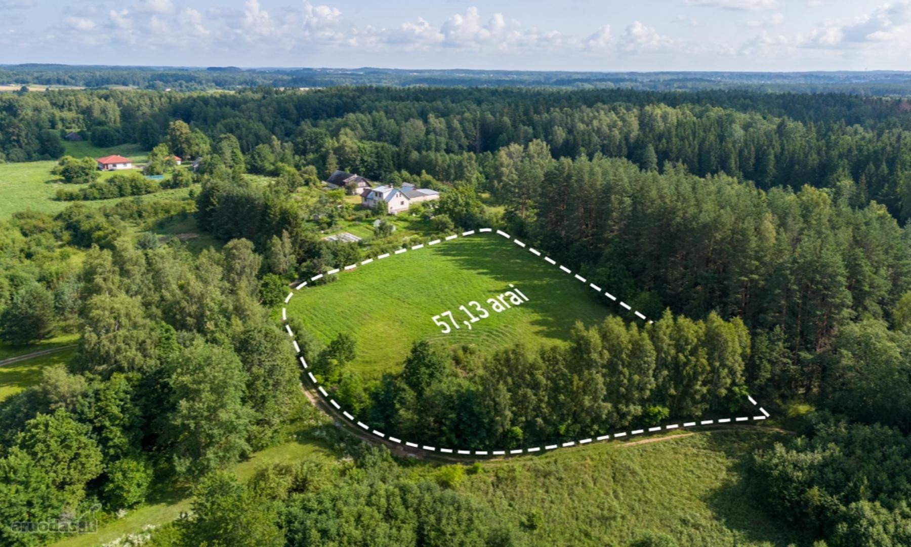 Vilniaus r. sav., Augustų k.Česlovo Milošo tak.