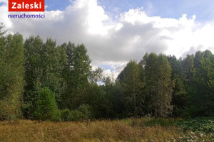 Jodłowa