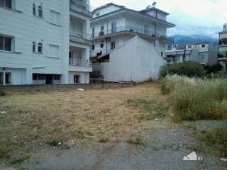 Amfissa,  GR