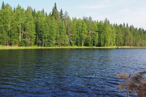 Vääräahontie (Karpaloranta), Ylä-Partala, Jämsä