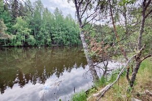 Levänpohjantie, Valittula, Sysmä