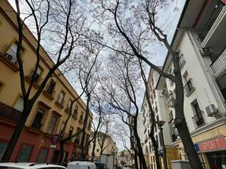 Jerez de la Frontera,  ES