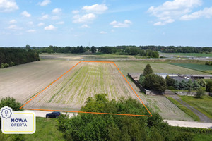 Dąbrowa