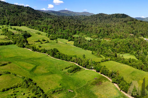 Kamienica
