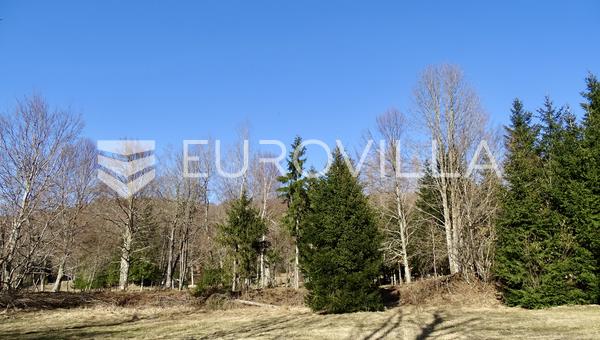 Lučice