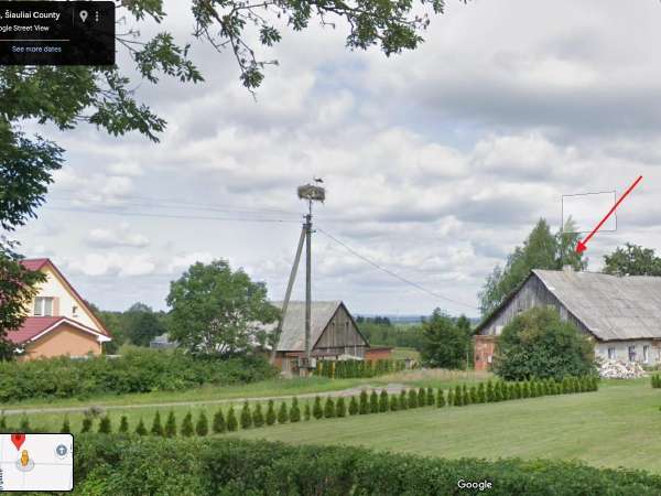 Kelmės r., Pakėvio k., Dvaro g., prieš 40 min.