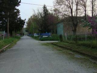 Mitropoli,  GR