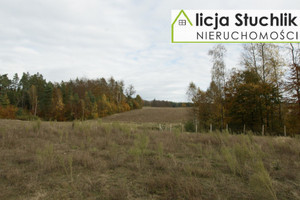 Grabowiec