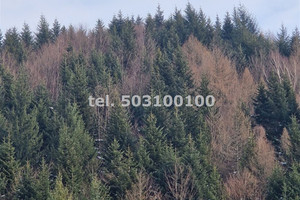 Krynica-Zdrój