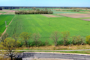 Kolsko