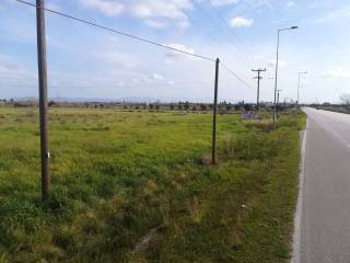 Lechaina,  GR