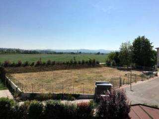 Castelnuovo Rangone,  IT