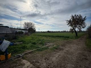 Battipaglia,  IT