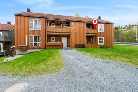 Træthaugveien 2D, Rennebu
