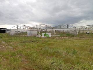 Montijo,  ES