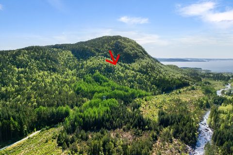 Lauvbakken Skogseiendom, Jørpeland