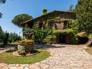 Tuoro sul Trasimeno,  IT