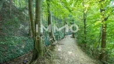 2371 Hinterbrühl