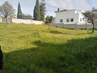 Castilleja de la Cuesta,  ES
