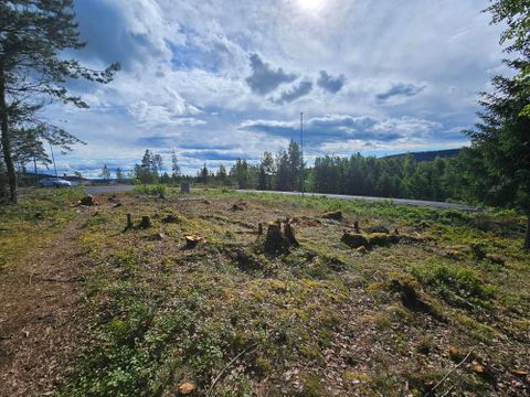 Blåbærbakken 45, Skarnes