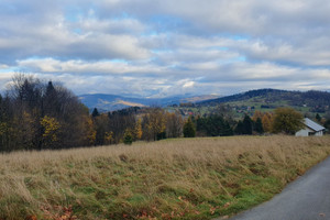 Laliki