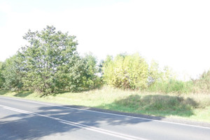 Zgierz