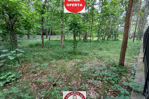 Międzylesie