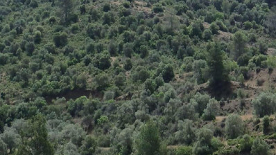 Lythrodontas, Nicosia