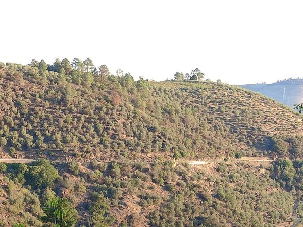 Tabuaço,  PT