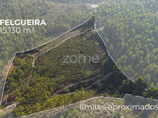 Sobreira,  PT