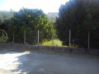 Amfilochia,  GR