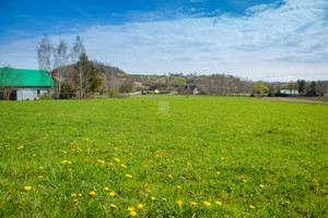 Złota