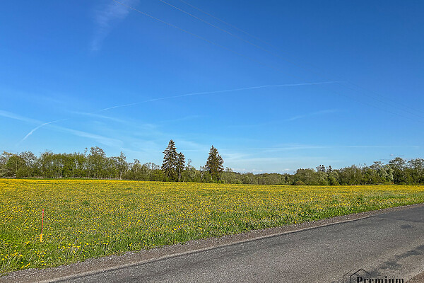 plot for sale, land-profit land - Purtse, Lüganuse vald, Ida-Virumaa