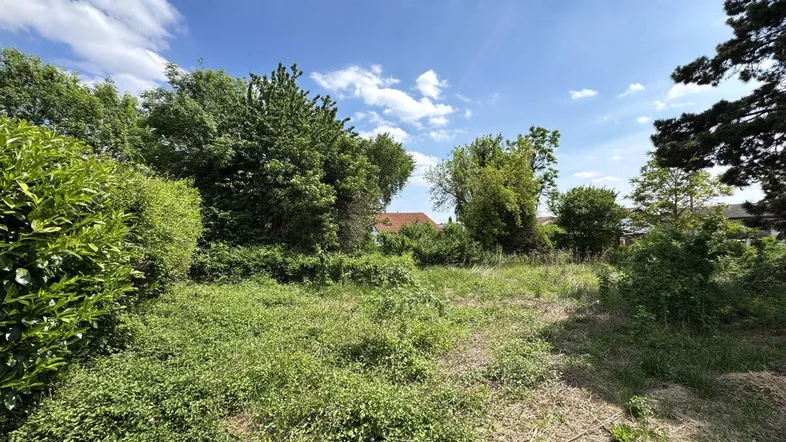 2333 Leopoldsdorf