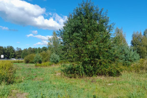 Chrząstowice